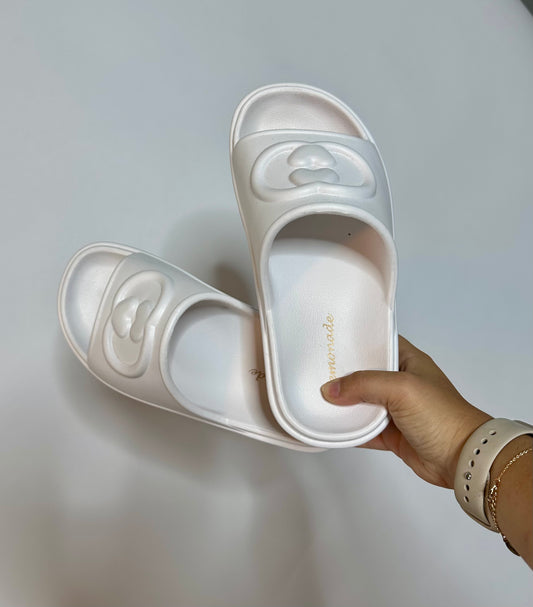 Milli Platform Slides