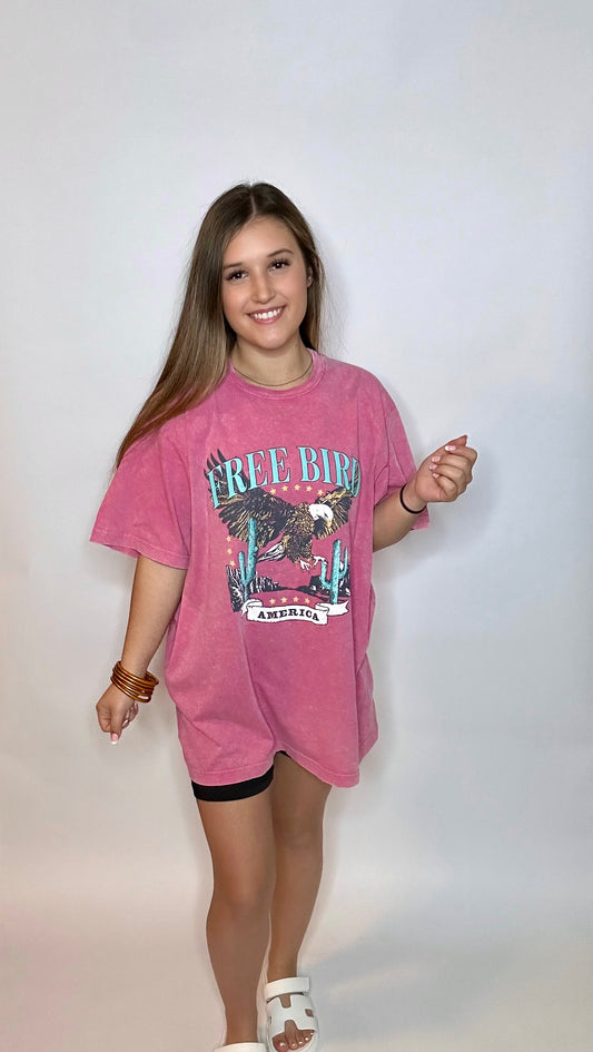 Freebird Mineral Wash Graphic Tee